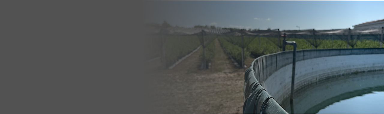 Irrigation field and pond